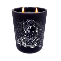 Świeca sojowa The Wizard 250ml