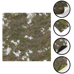 Mata RPG Przedwiośnie