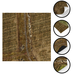 Mata RPG Pole Ryżowe