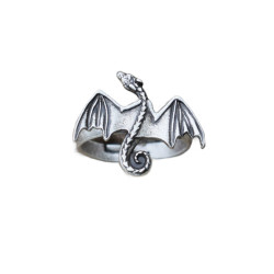 Srebrny Pierścionek...