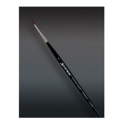 Scale 75: Kolinsky Tajmyr -...