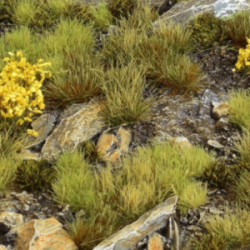 Gamers Grass: Set -...