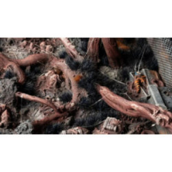 Gamers Grass: Grass tufts -...