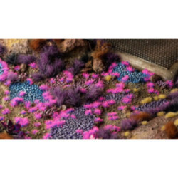 Gamers Grass: Tiny Tufts -...