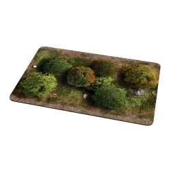 GUMOWY TEREN 2D THE OLD...