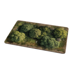 GUMOWY TEREN 2D THE OLD...