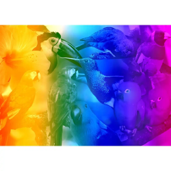 PUZZLE DREWNIANE W...