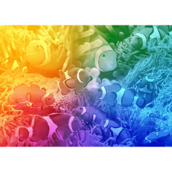 TROPICAL DREWNIANE PUZZLE W...