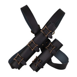 SKÓRZANY SYSTEM NA PLECY...