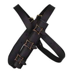 SKÓRZANY SYSTEM FULGOR Z...