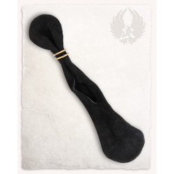 ZAMSZOWA GELDKATZE DENARIUS...