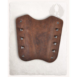 OCHRANIACZ NA RAMIĘ DLA...