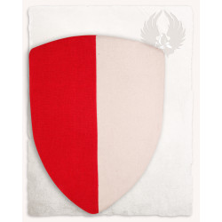 POKROWIEC NA TARCZĘ...