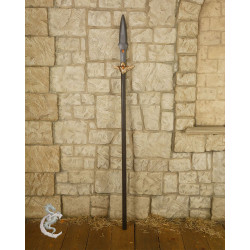 WŁÓCZNIA DRACELTIA - BROŃ...