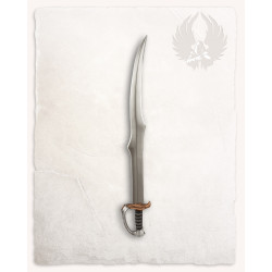 DŁUGA SZABLA FLYNN II -...