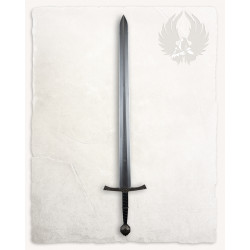 MIECZ PANA RADZIKA - BROŃ...