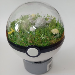 GEODUDE - POKEBALL...