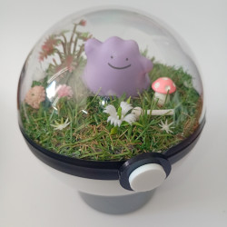 DITTO - POKEBALL TERRARIUM...