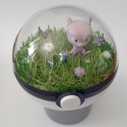 MEWTWO - POKEBALL TERRARIUM...