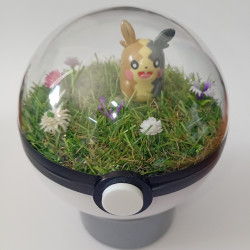 MORPEKO - POKEBALL...