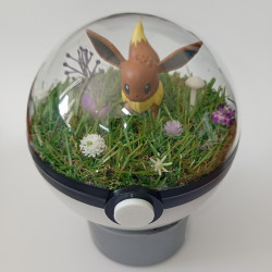 EEVEE - POKEBALL TERRARIUM...