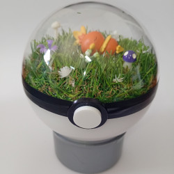 TORCHIC - POKEBALL...